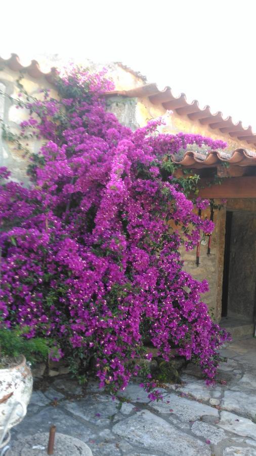 Casa De Chanca Penela Exterior foto